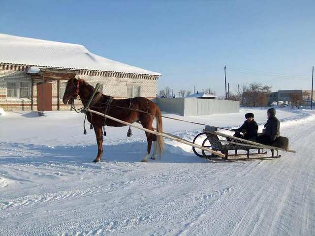 Первая прогулка в санях.